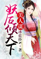 美人谋讲的什么